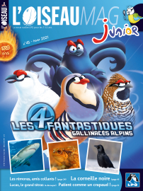 Couverture de l'OISEAU MAG JUNIOR n°45